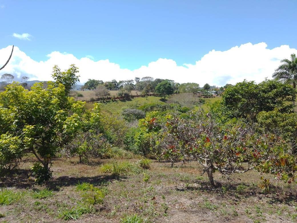 Beautiful Mountain View Property on 8+ Acres — photo 17 of 19