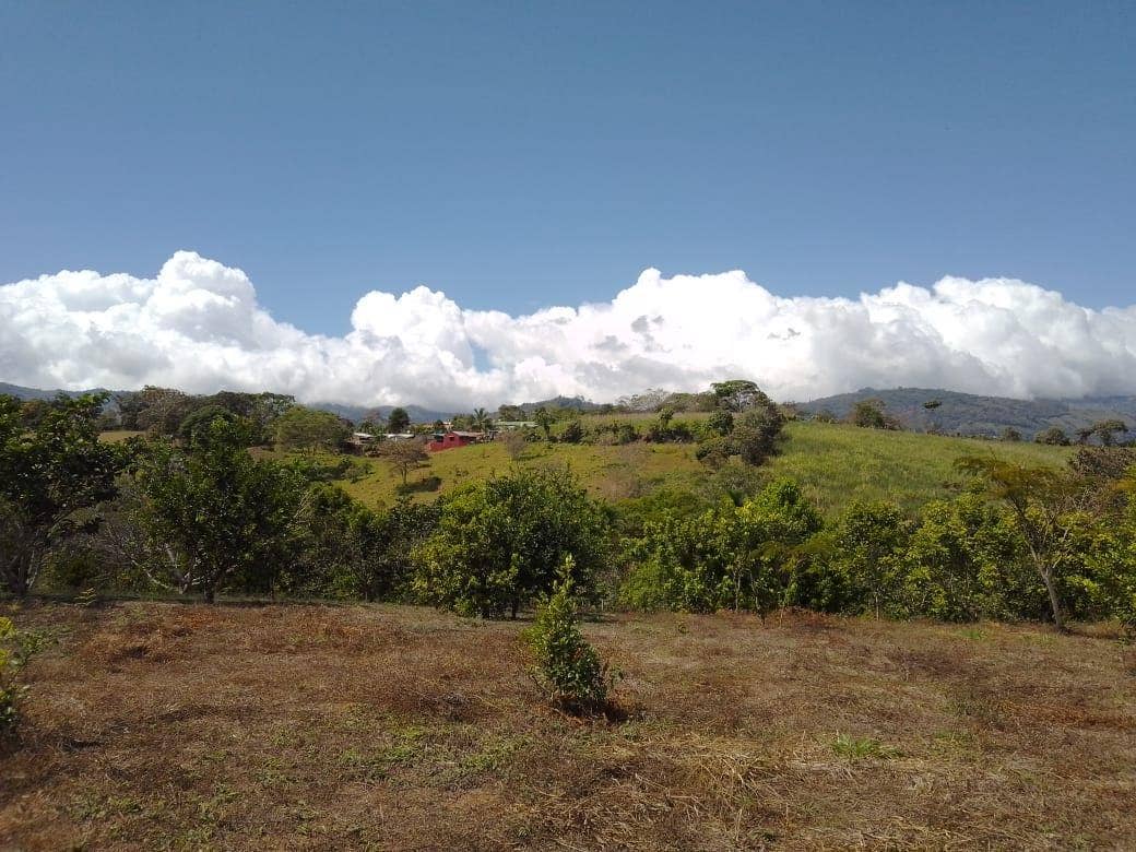 Beautiful Mountain View Property on 8+ Acres, San Isidro del General, San Isidro del General, Perez Zeledon, San Isidro De El General, Perez Zeledon, San Jose, Costa Rica 11901