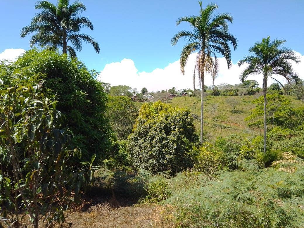 Beautiful Mountain View Property on 8+ Acres, San Isidro del General, San Isidro del General, Perez Zeledon, San Isidro De El General, Perez Zeledon, San Jose, Costa Rica 11901