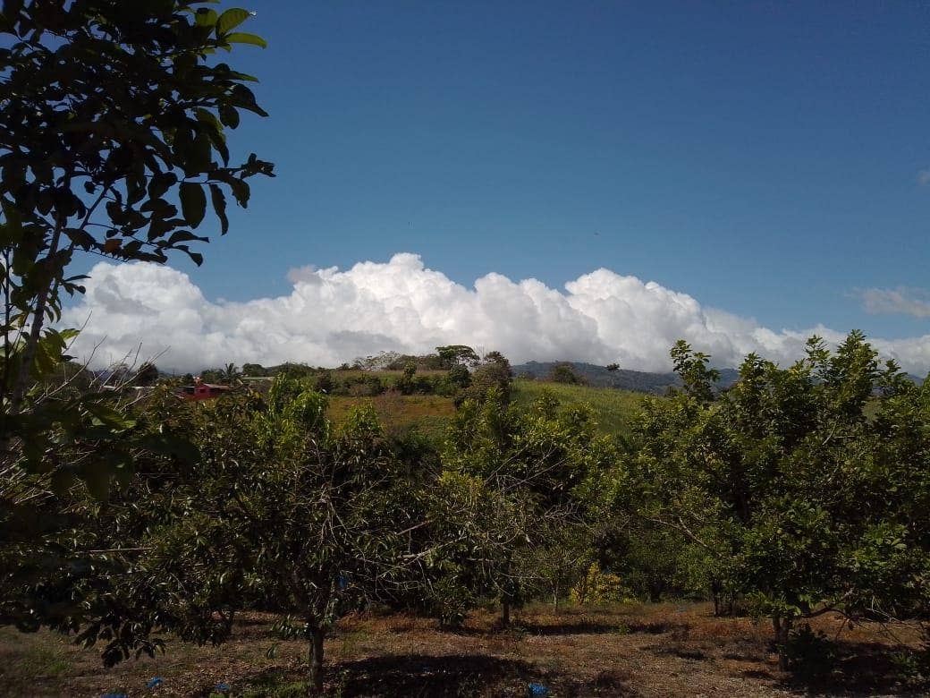 Beautiful Mountain View Property on 8+ Acres, San Isidro del General, San Isidro del General, Perez Zeledon, San Isidro De El General, Perez Zeledon, San Jose, Costa Rica 11901