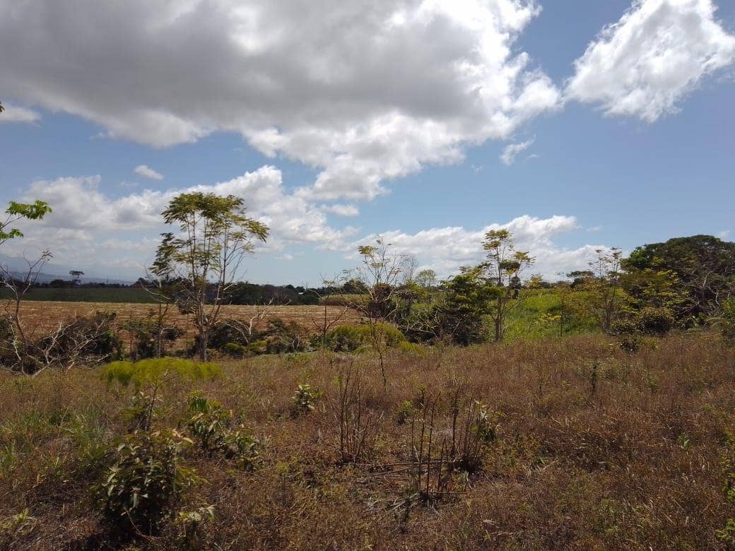 Beautiful Mountain View Property on 8+ Acres, San Isidro del General, San Isidro del General, Perez Zeledon, San Isidro De El General, Perez Zeledon, San Jose, Costa Rica 11901