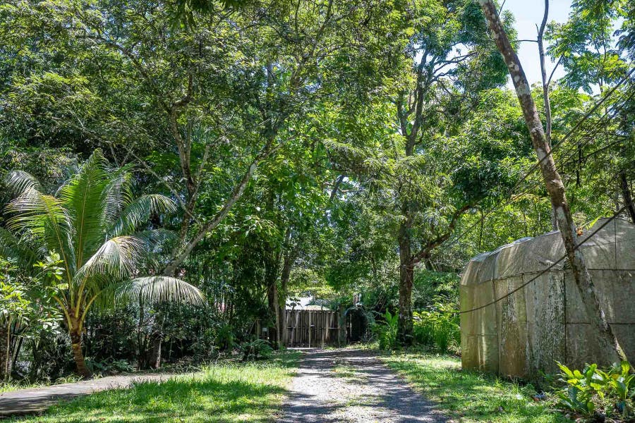 Property photo for Almost one acre  Land in the heart of Manuel Antonio, Manuel Antonio, Manuel Antonio, Quepos, Puntarenas, Costa Rica
