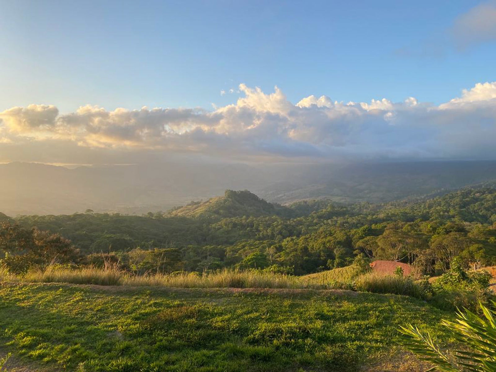 Tinamaste Mountain Ocean View — photo 6 of 7