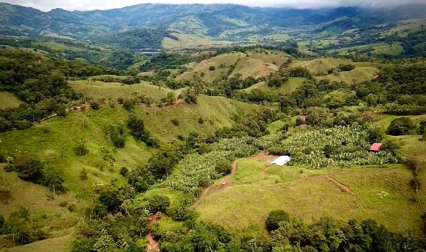 Farm with River and lots of Building Sites, Platanillo, Dominical, Baru, Osa, Puntarenas, Costa Rica 11909