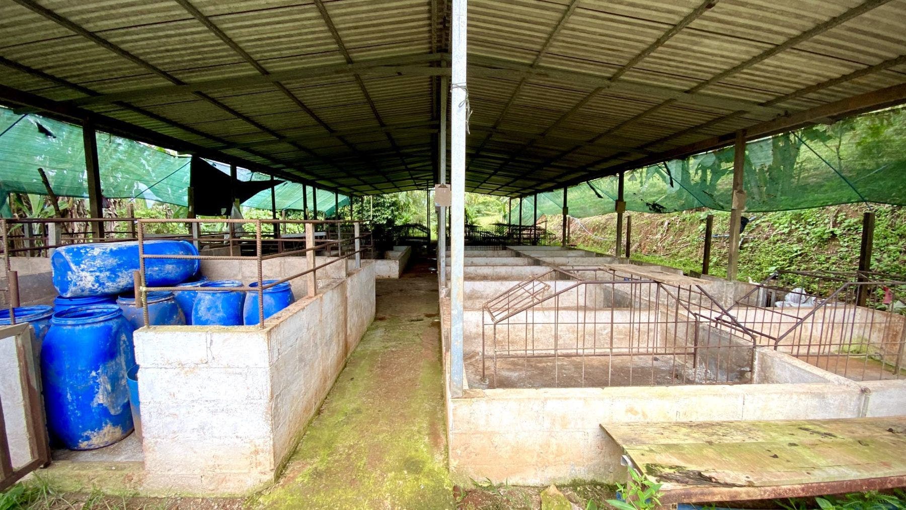 Farm with River and lots of Building Sites — photo 13 of 18