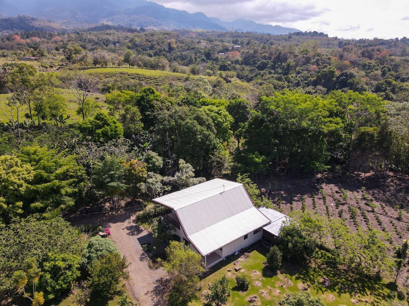 Big 7 BR Country House on 4 Acres — photo 5 of 19