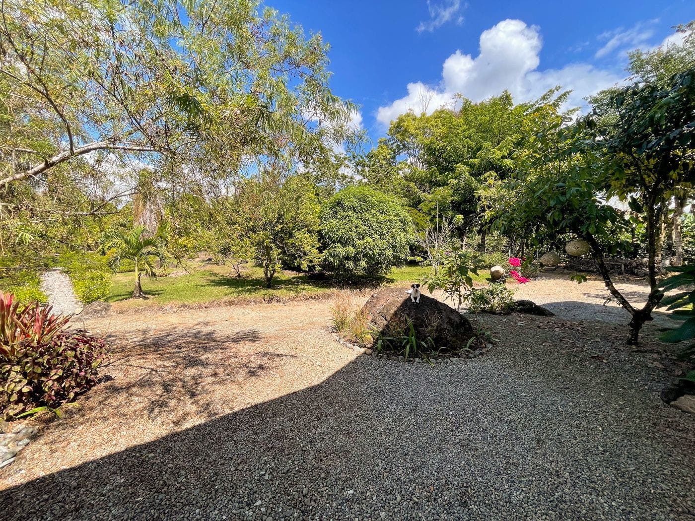 Big 7 BR Country House on 4 Acres — photo 4 of 19