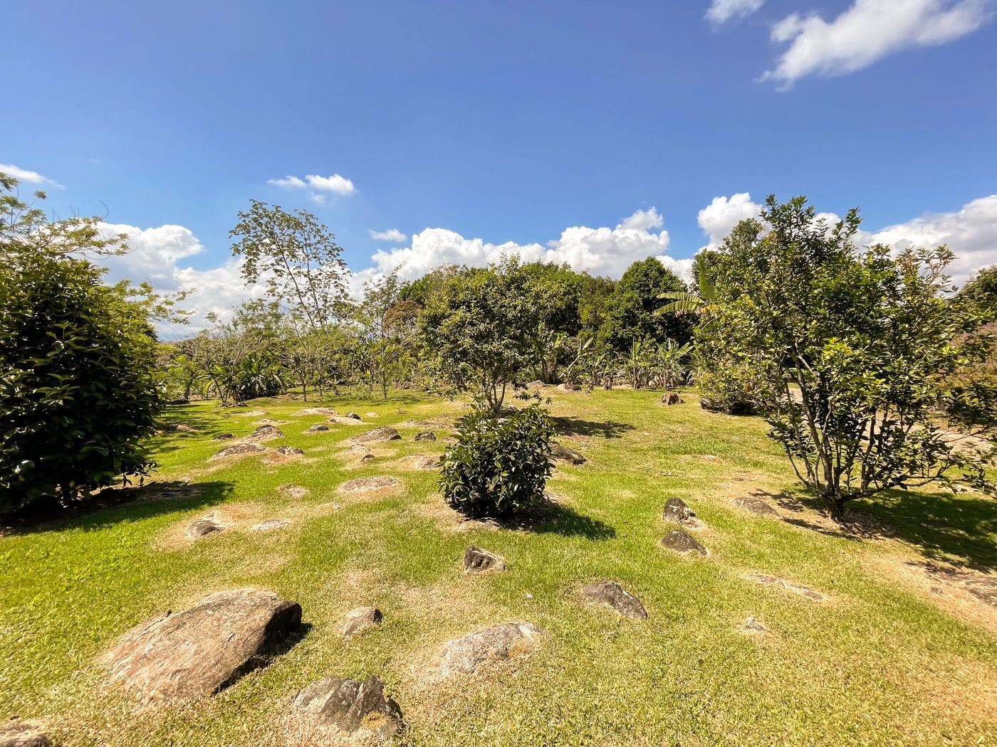 Big 7 BR Country House on 4 Acres — photo 3 of 19