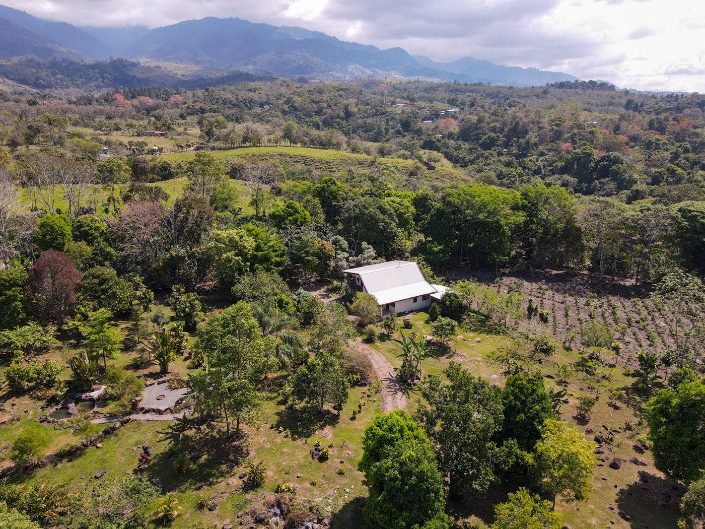 Big 7 BR Country House on 4 Acres — photo 10 of 19