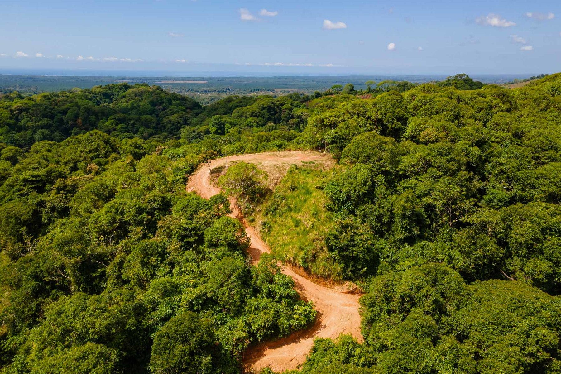 Finca Palo Grande — photo 4 of 19