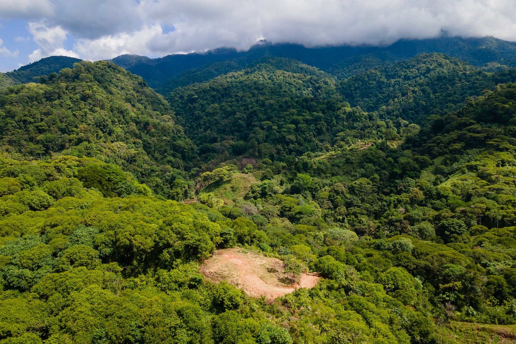 Finca Palo Grande — photo 5 of 19