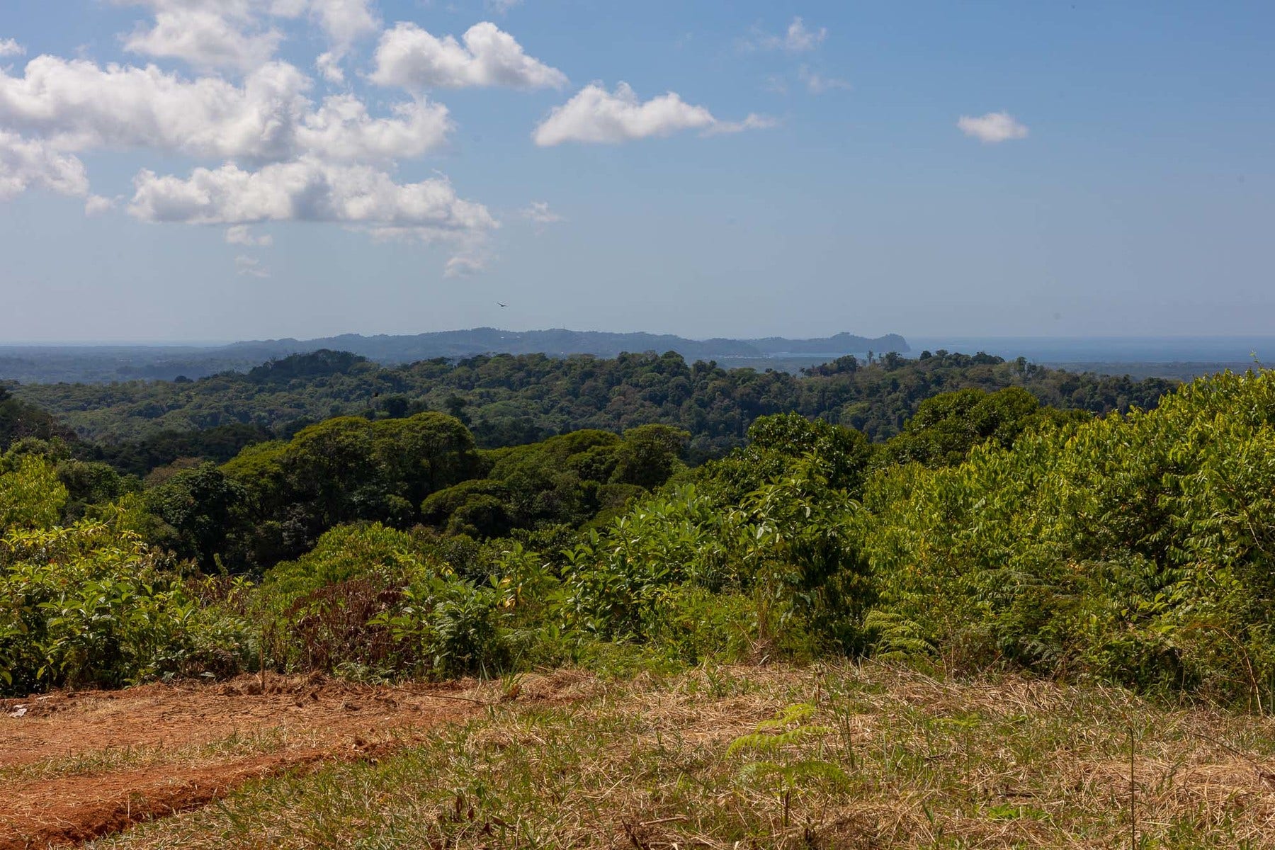 Finca Palo Grande — photo 6 of 19