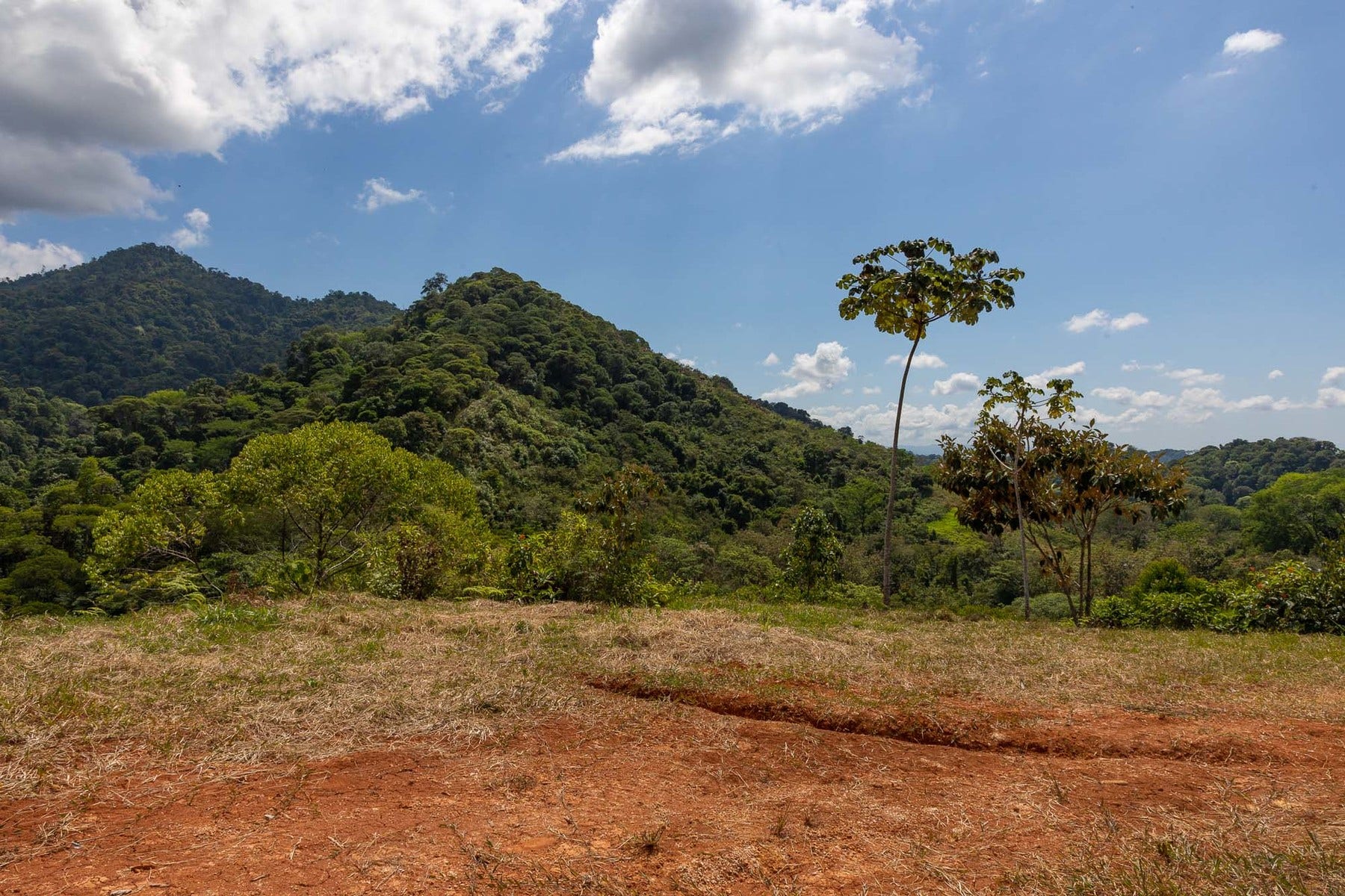 Finca Palo Grande — photo 7 of 19