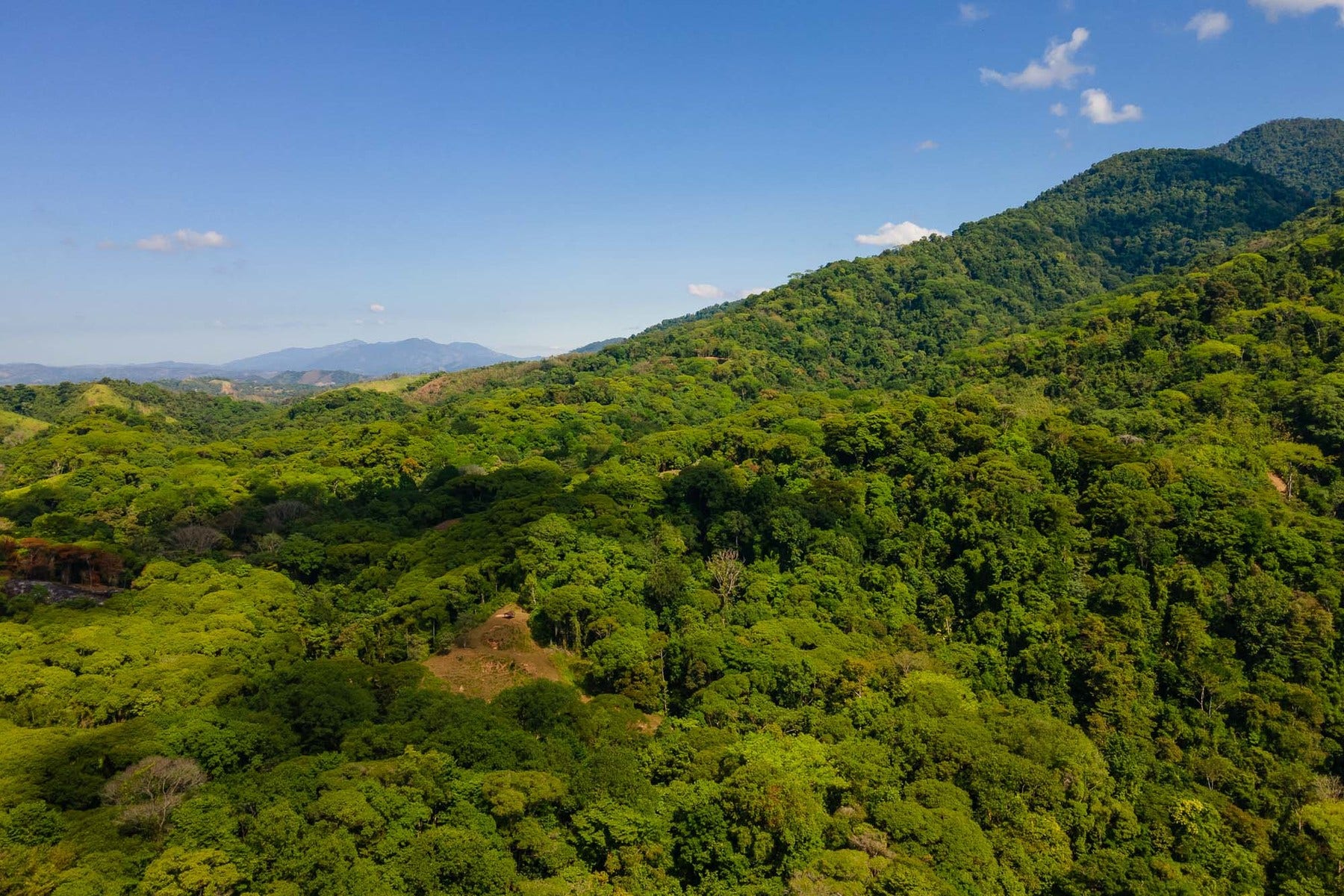 Finca Palo Grande — photo 8 of 19