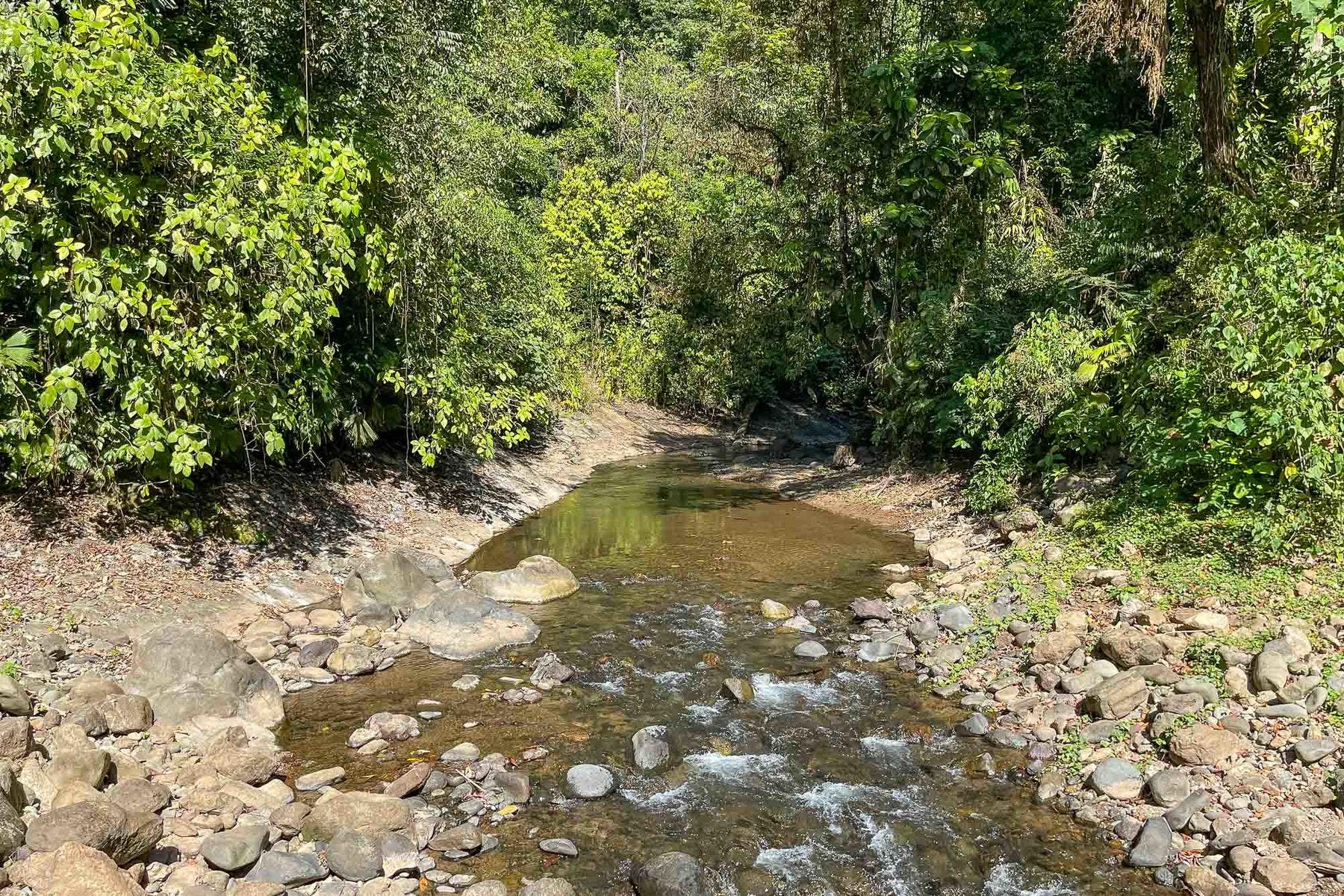 Finca Palo Grande — photo 10 of 19