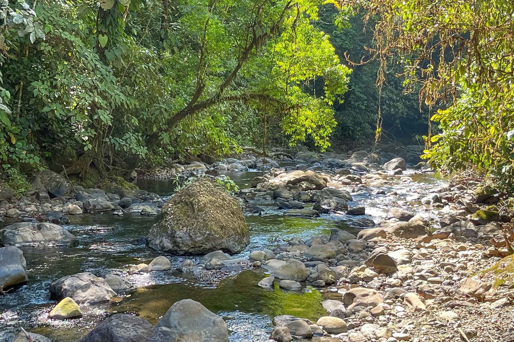 Finca Palo Grande — photo 3 of 19