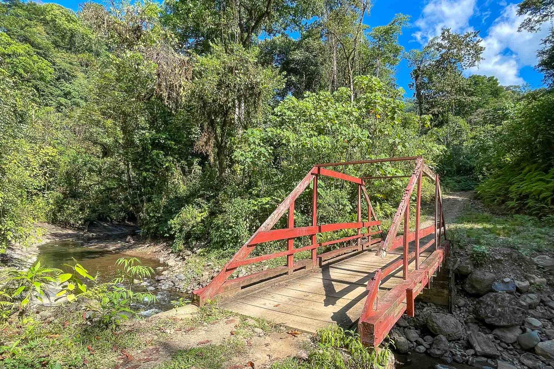 Finca Palo Grande — photo 11 of 19