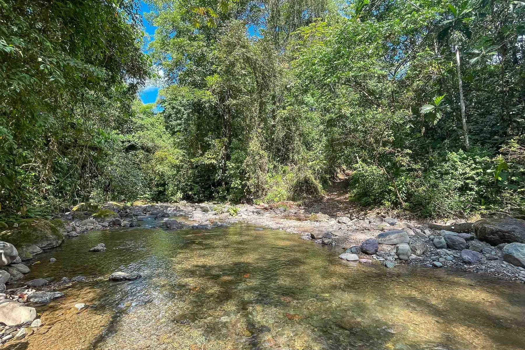Finca Palo Grande — photo 12 of 19