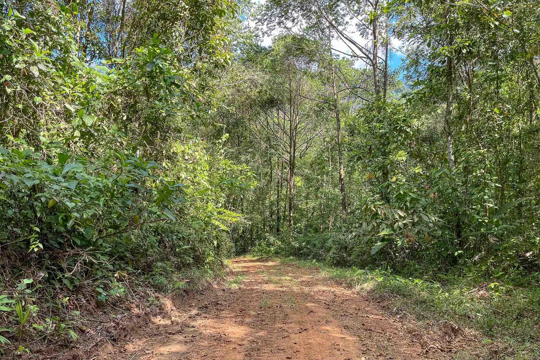 Finca Palo Grande — photo 14 of 19