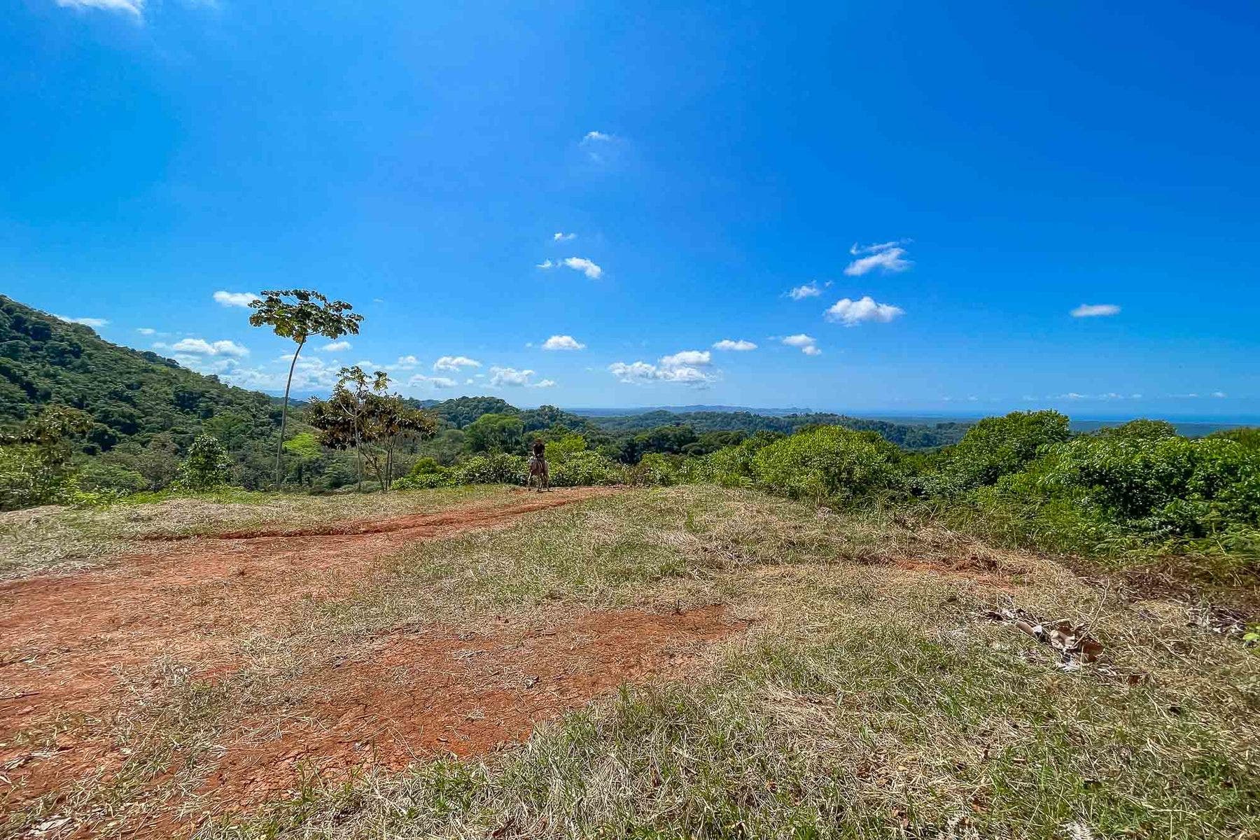 Finca Palo Grande — photo 15 of 19