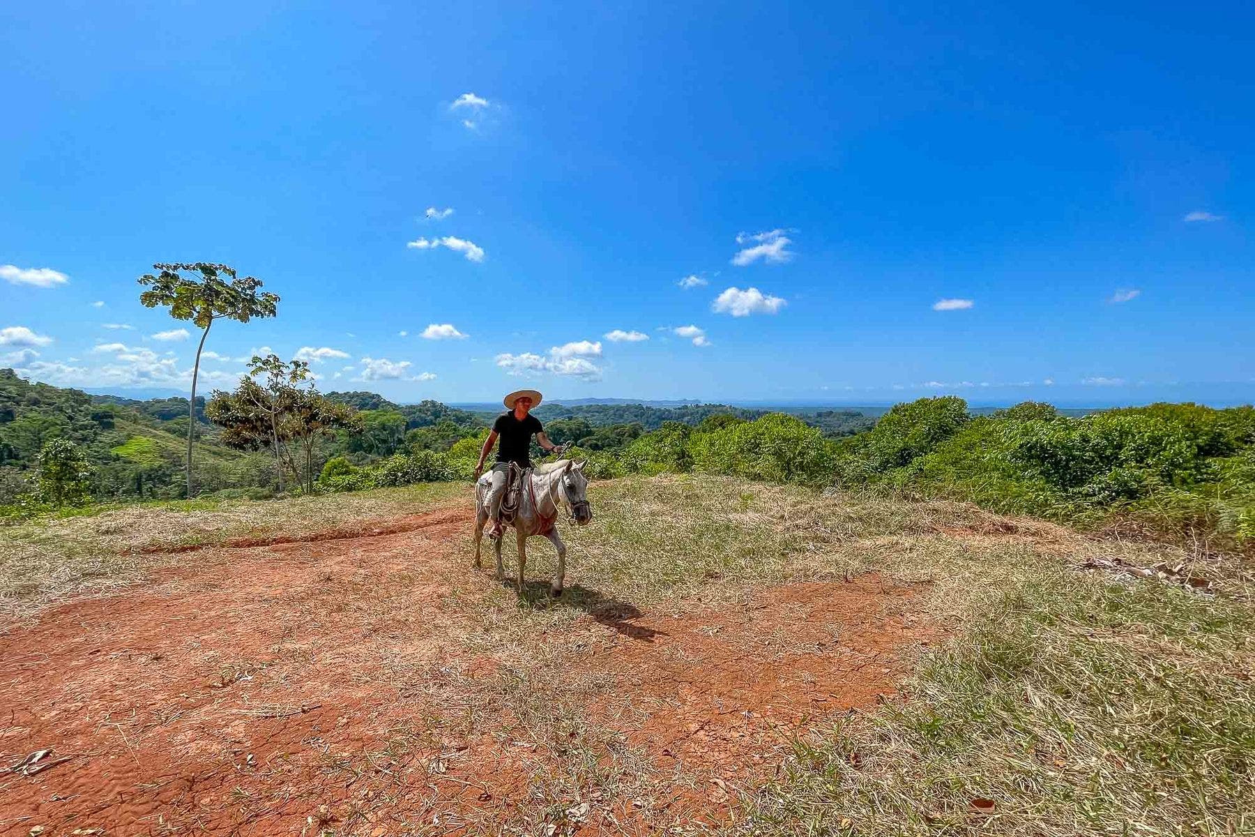 Finca Palo Grande — photo 16 of 19