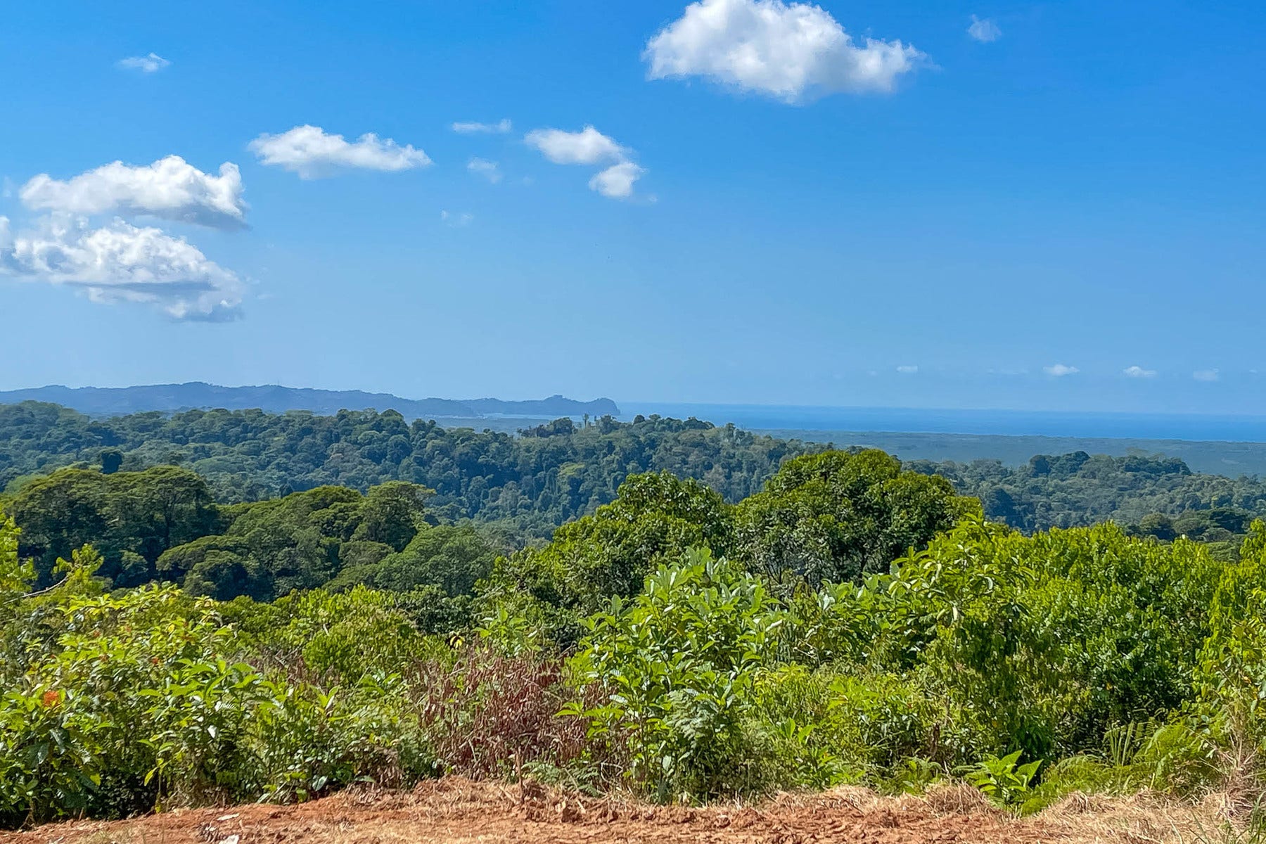Finca Palo Grande — photo 2 of 19