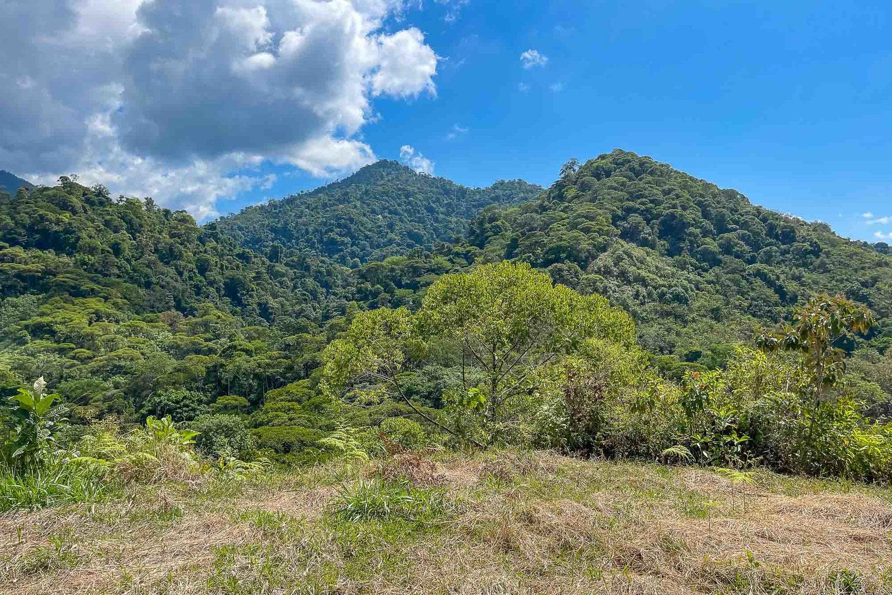 Finca Palo Grande — photo 17 of 19