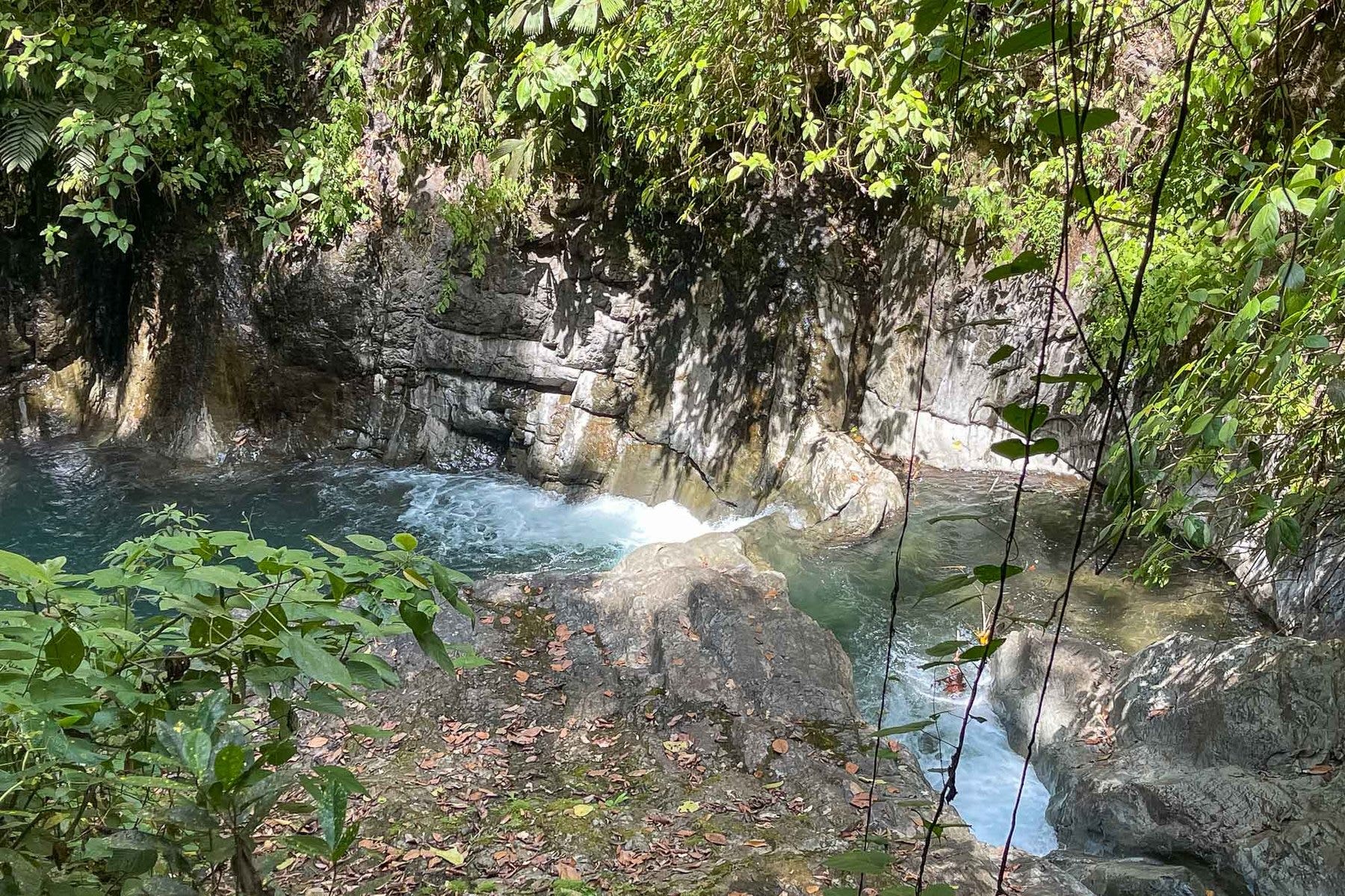Finca Palo Grande — photo 18 of 19