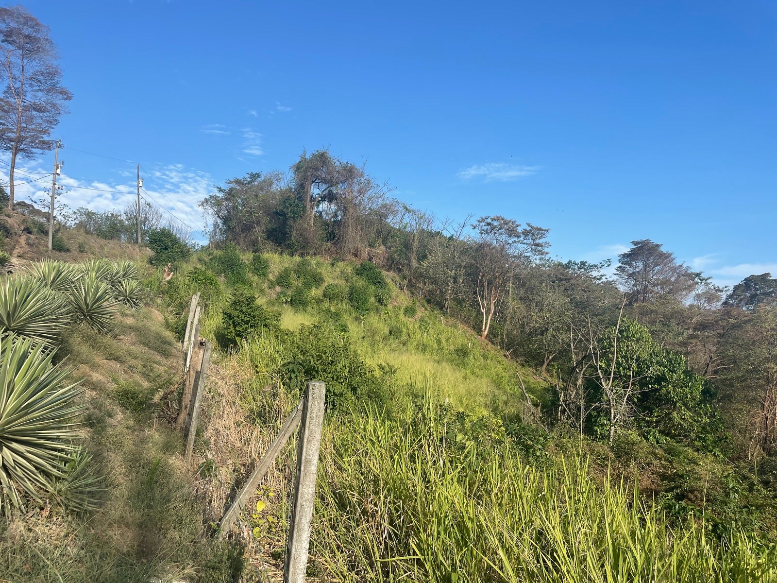 Stunning Ocean View Lot in Playa Hermosa — photo 3 of 6