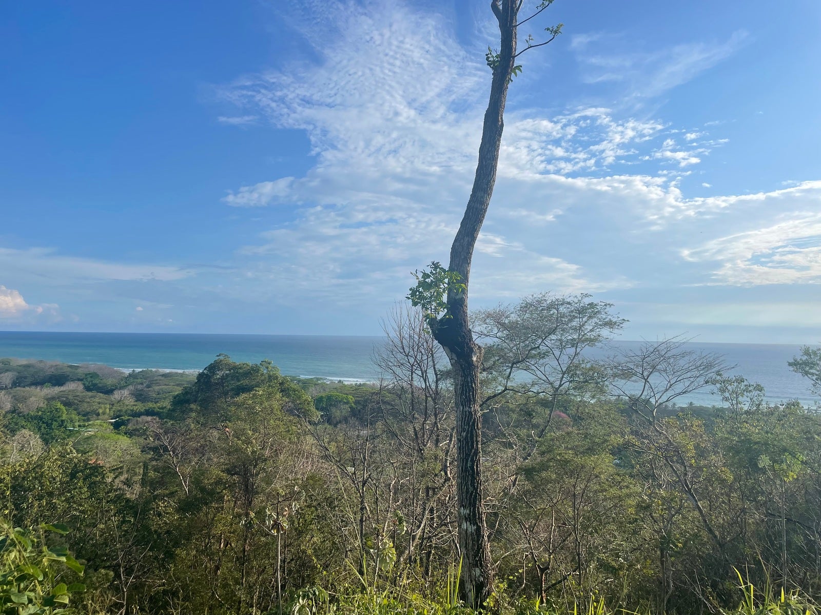 Stunning Ocean View Lot in Playa Hermosa — photo 6 of 6