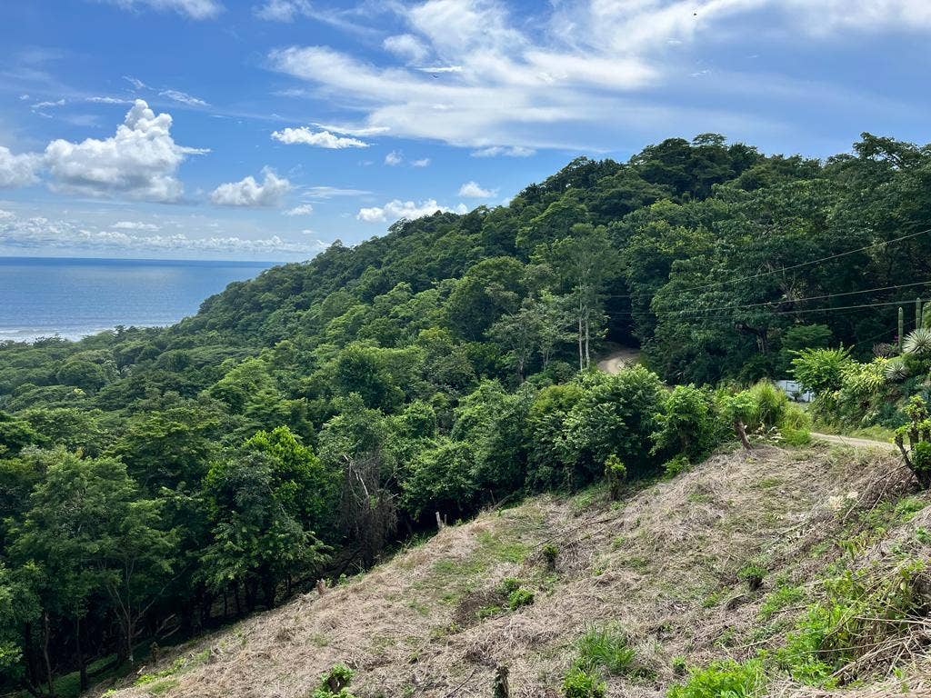 Stunning Ocean View Lot in Playa Hermosa — photo 4 of 6