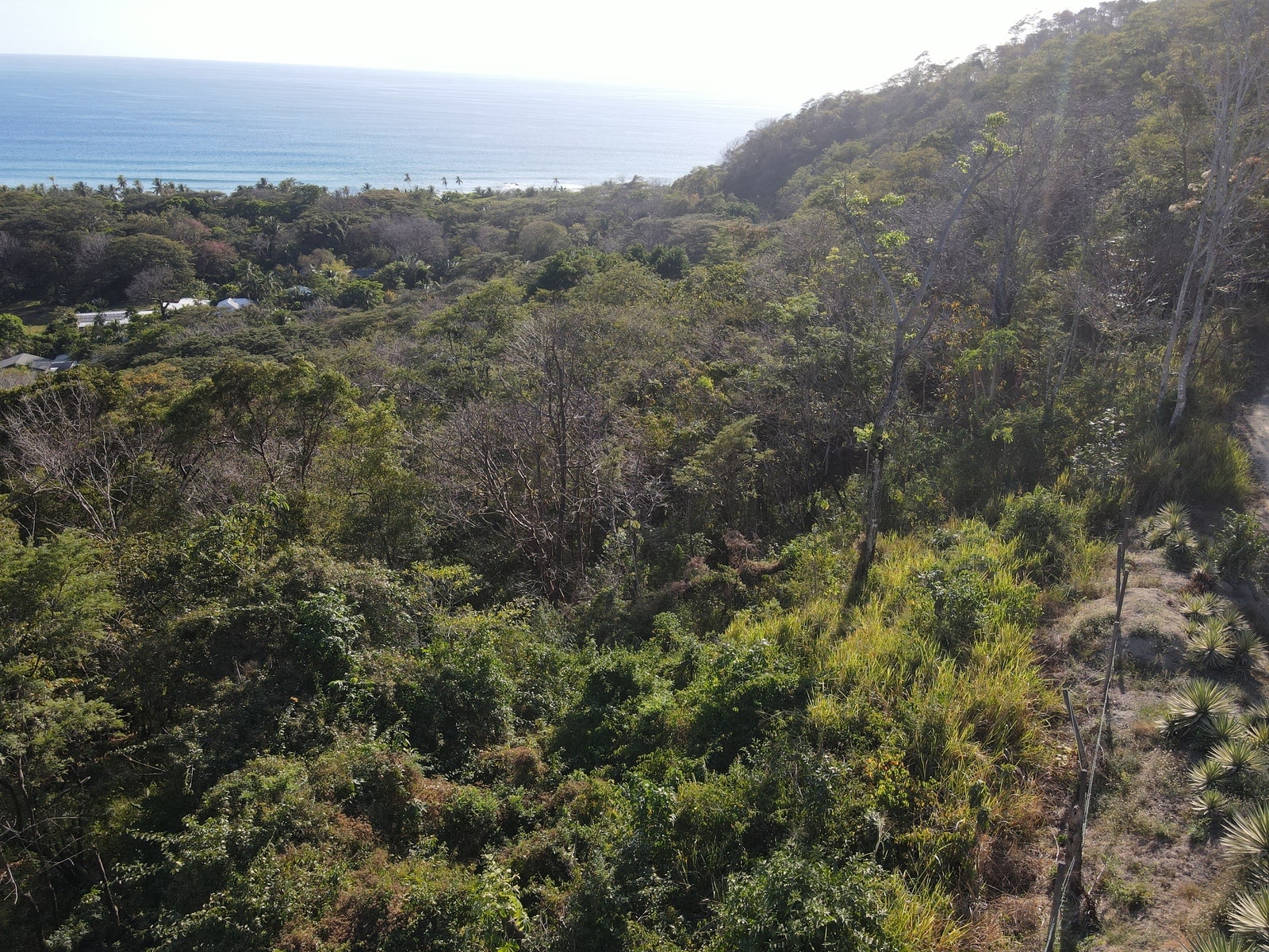 Gorgeous Ocean View Lot in Playa Hermosa — photo 7 of 7