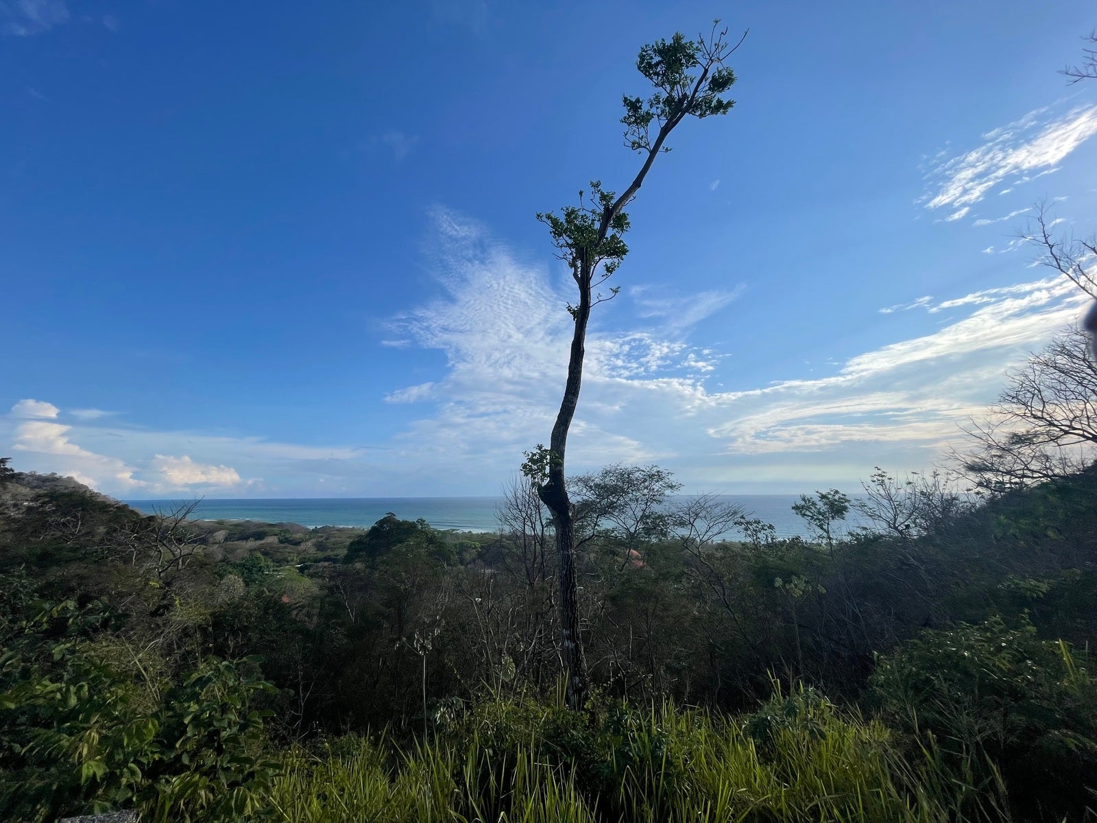 Gorgeous Ocean View Lot in Playa Hermosa — photo 4 of 7
