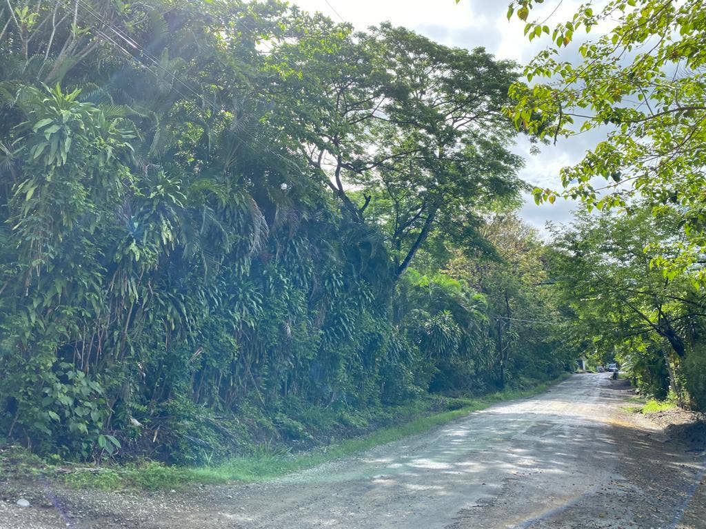 Large Property in Playa Hermosa — photo 7 of 7