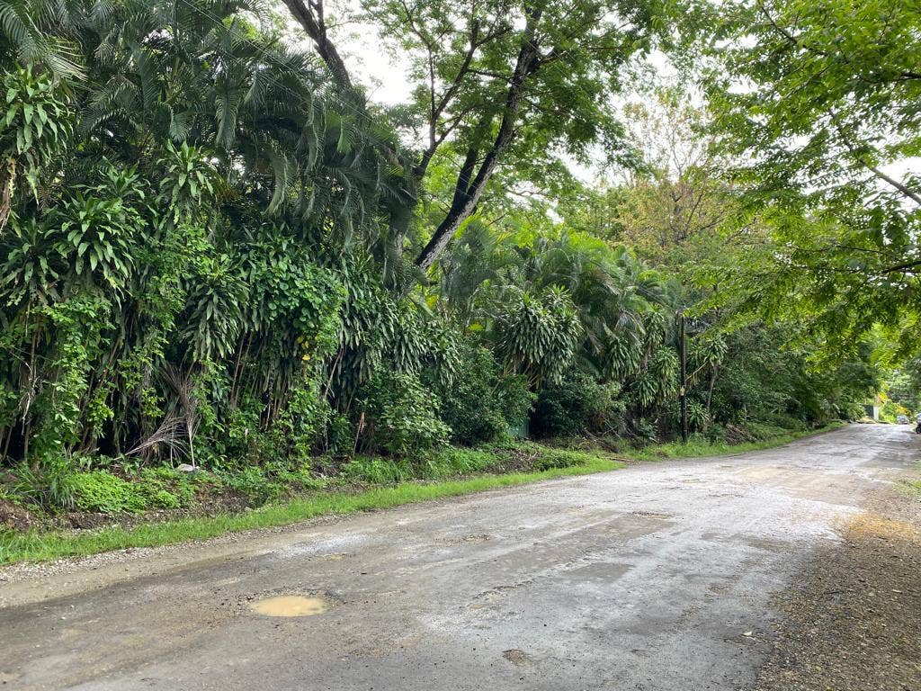 Large Property in Playa Hermosa — photo 4 of 7