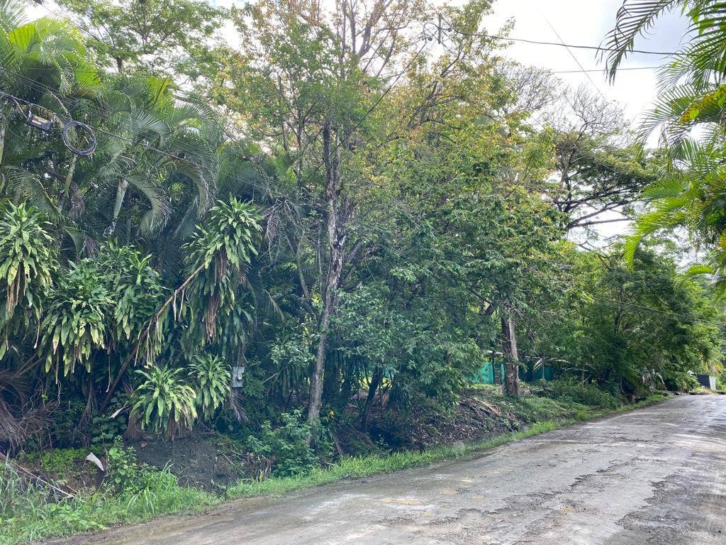 Large Property in Playa Hermosa — photo 5 of 7