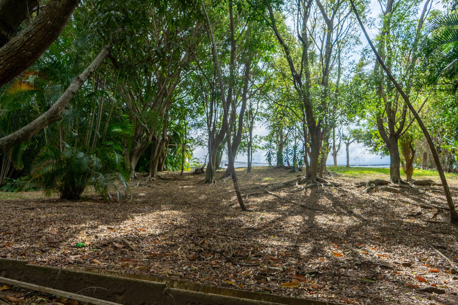 Development property with unique home, Guachipelin, Escazu, San Rafael, Escazu, San Jose, Costa Rica
