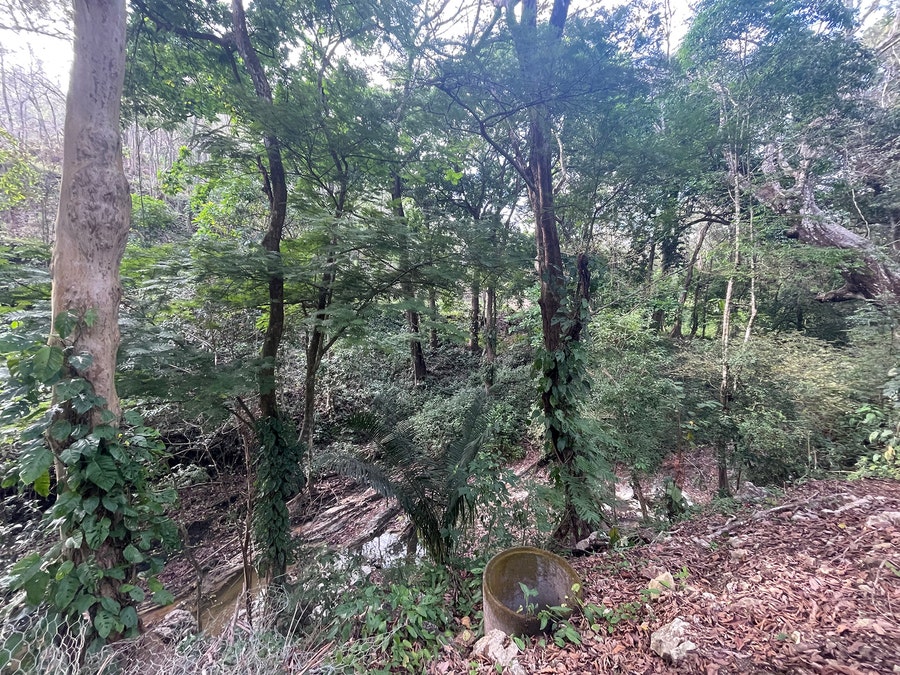 Property photo for Central Santa Teresa Jungle Lot , Santa Teresa, Cobano, Puntarenas, Puntarenas, Costa Rica