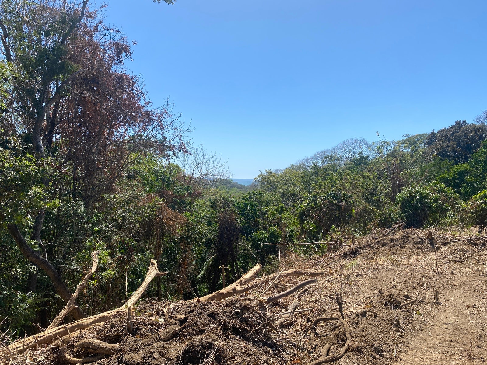 Gorgeous Valley View Lot with AyA water — photo 10 of 17