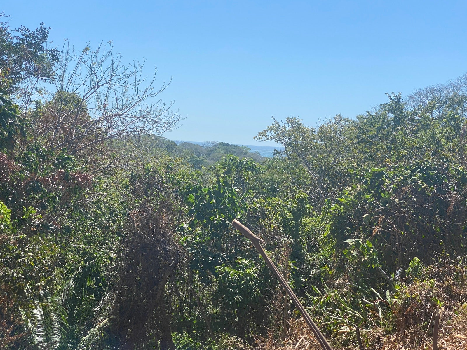 Gorgeous Valley View Lot with AyA water — photo 17 of 17