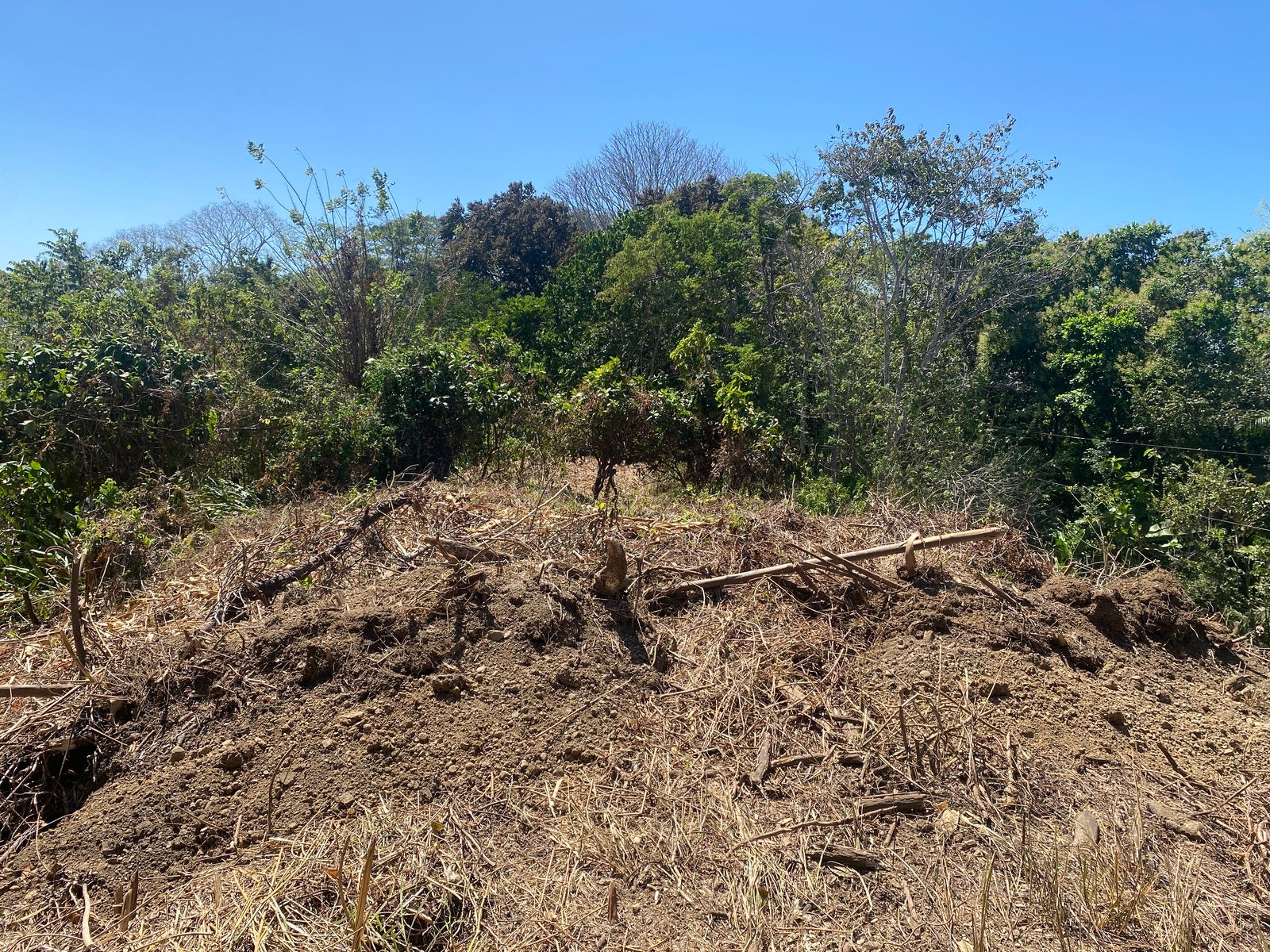 Gorgeous Valley View Lot with AyA water — photo 11 of 17