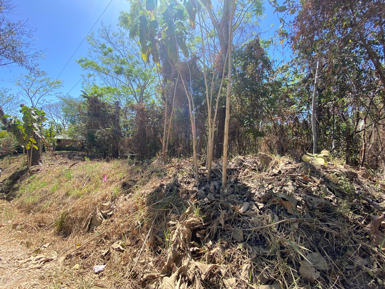 Gorgeous Valley View Lot with AyA water — photo 14 of 17