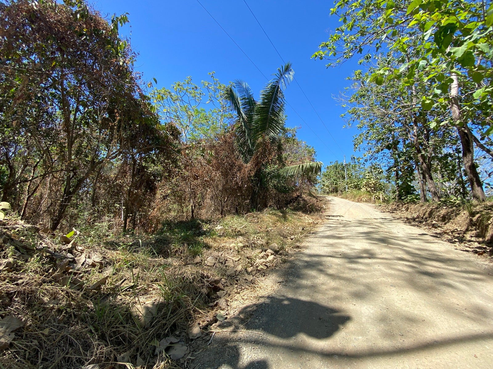 Gorgeous Valley View Lot with AyA water — photo 15 of 17