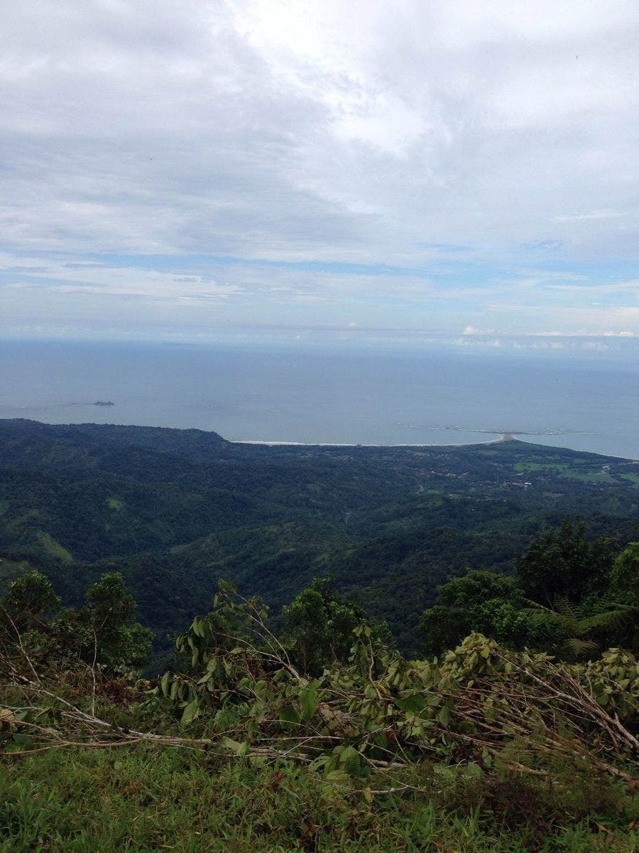Wonderful  Farm With Epic Whales Tale Ocean View — photo 2 of 13