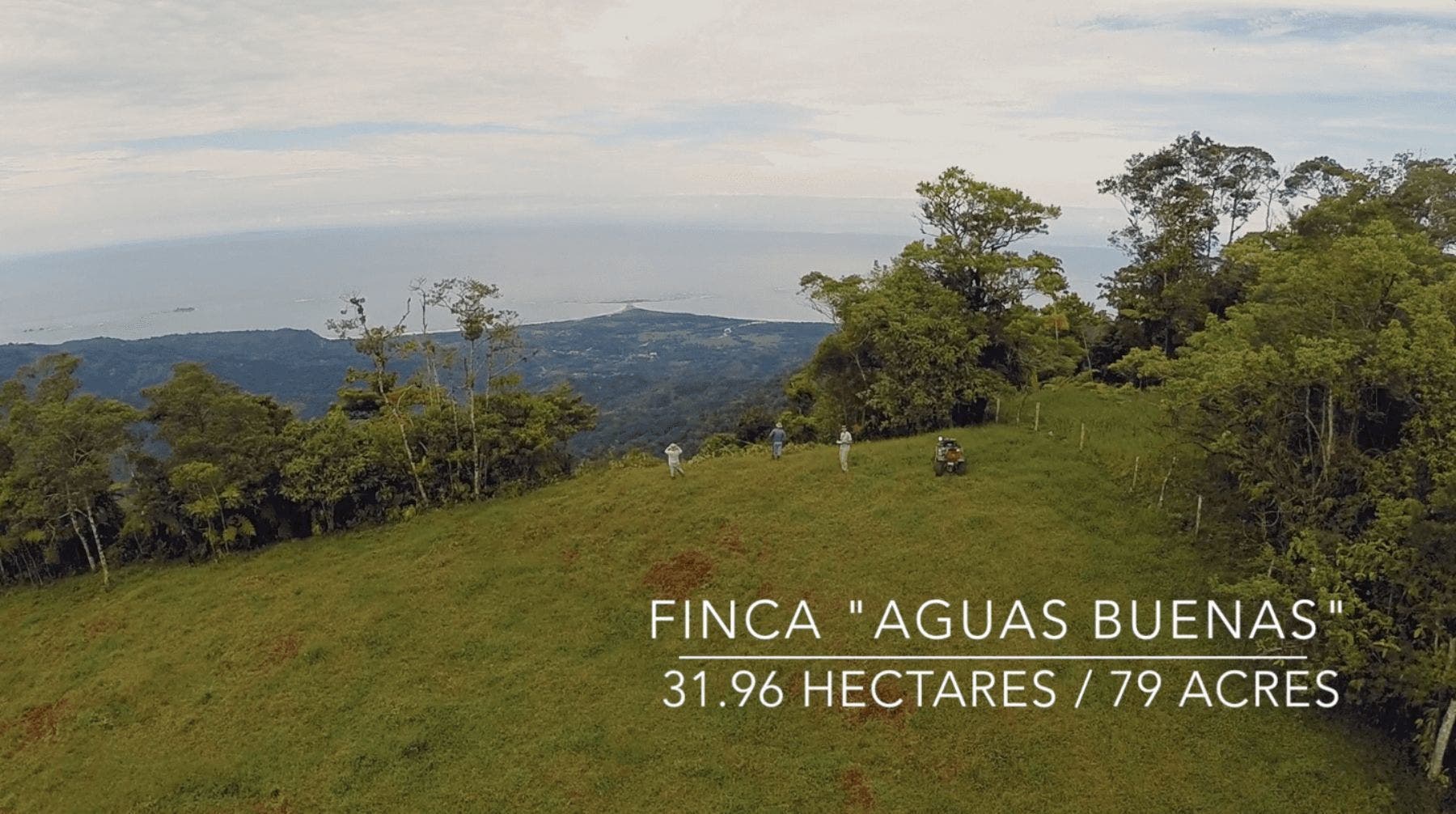 Wonderful  Farm With Epic Whales Tale Ocean View — photo 10 of 13