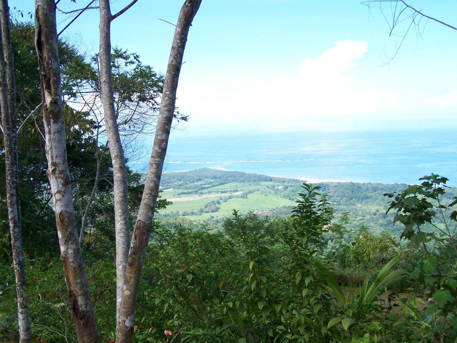 Wonderful  Farm With Epic Whales Tale Ocean View — photo 8 of 13