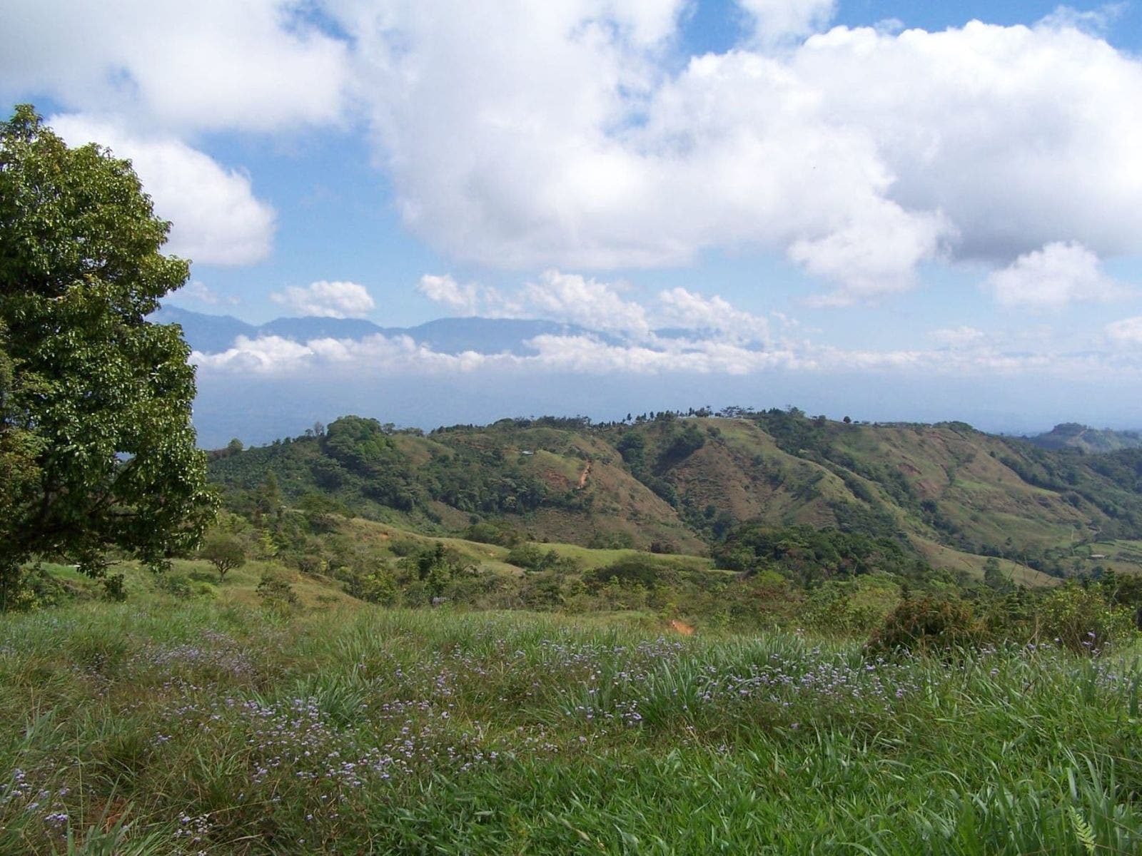 Wonderful  Farm With Epic Whales Tale Ocean View — photo 4 of 13