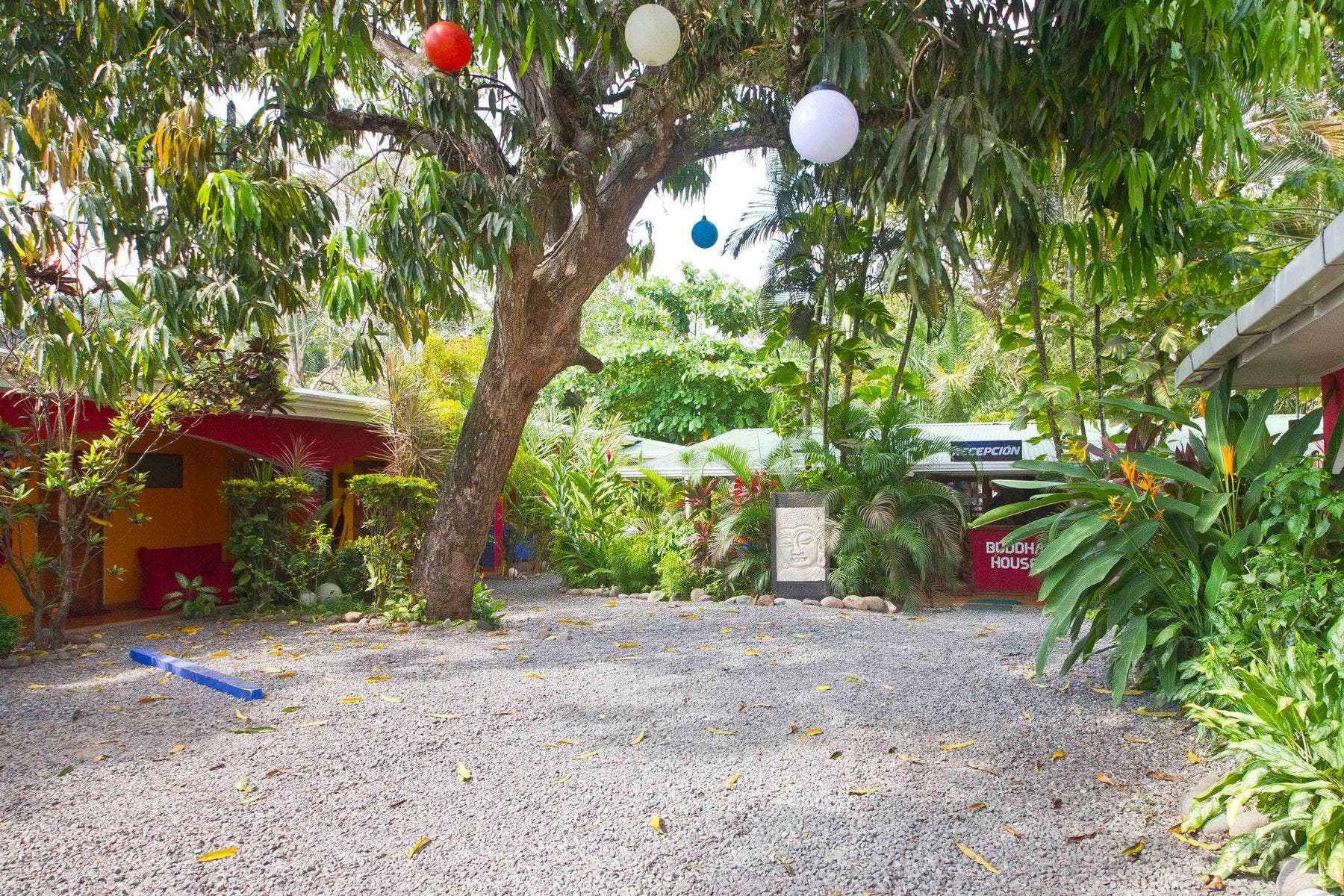 Buddha House — photo 11 of 19