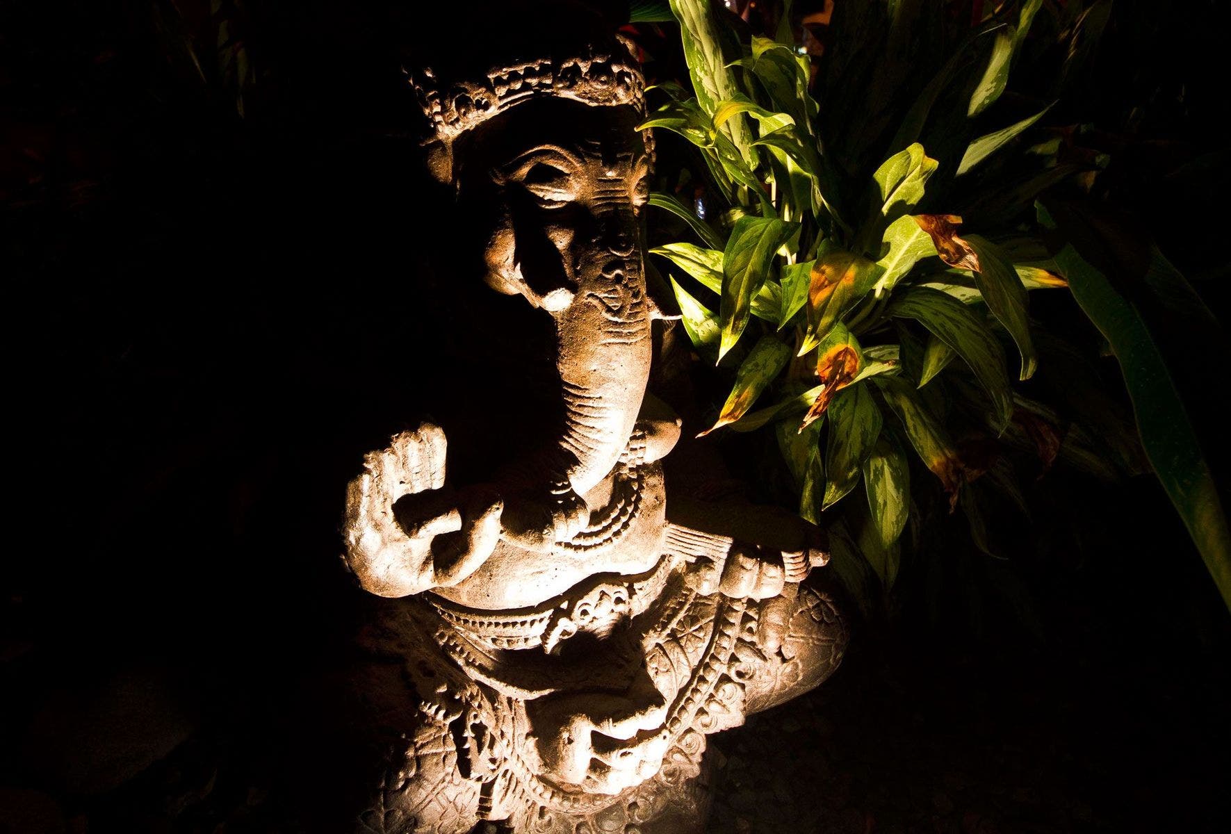 Buddha House — photo 10 of 19