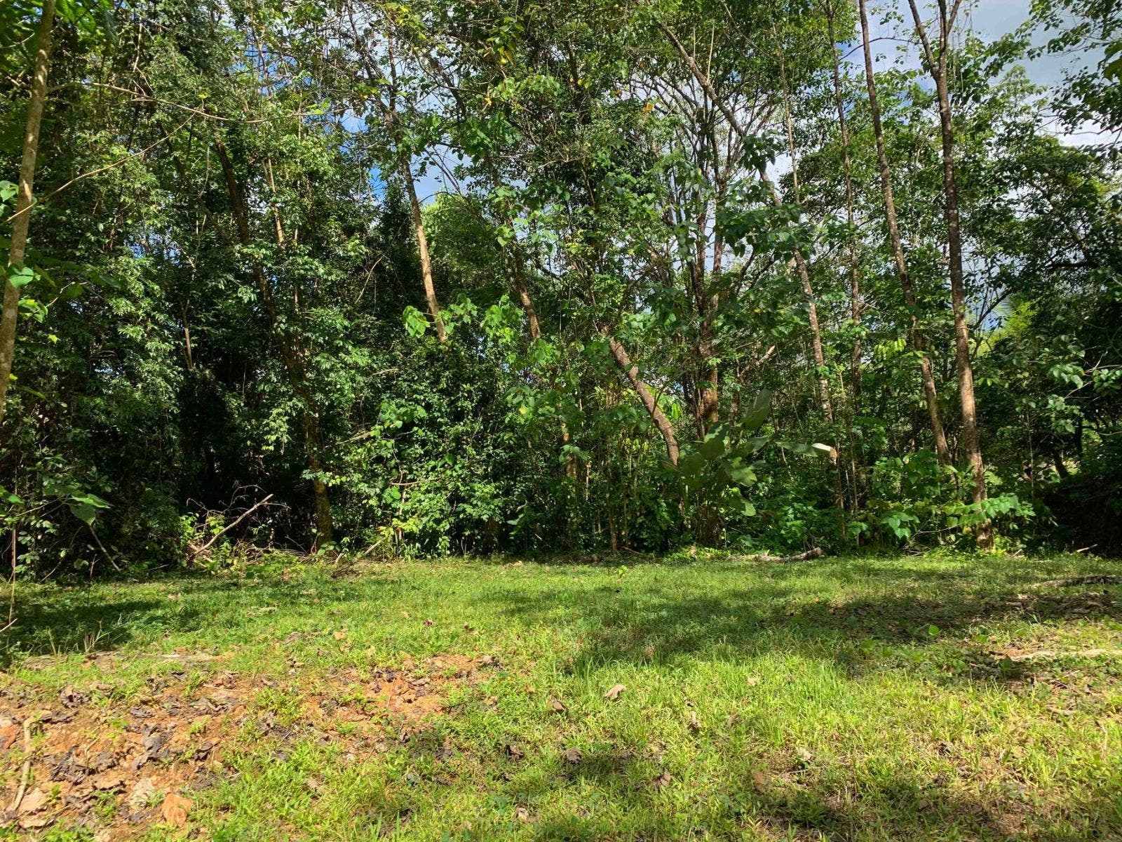 Fabulous 16 Acre Estate With Multiple Building Sites in Uvita — photo 2 of 16